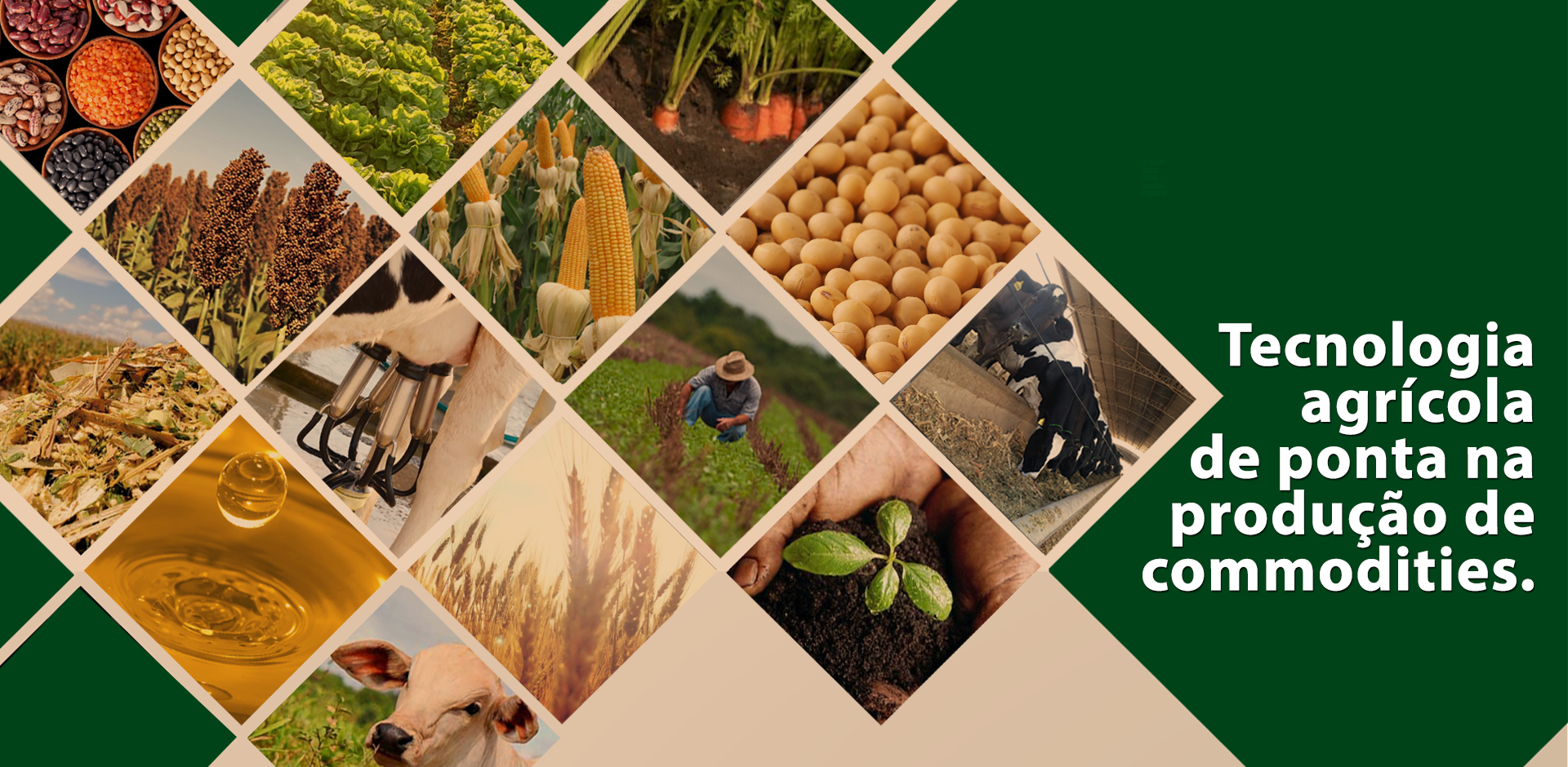 Tecnologia agrícola de ponta na produção de commodities