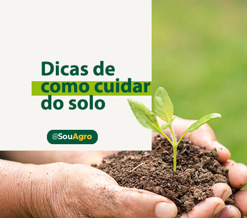 Imagem da pagina: Dicas de como Cuidar do Solo