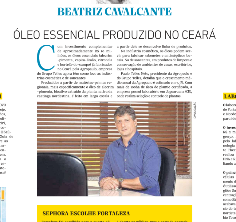 Imagem da pagina: ÓLEO ESSENCIAL PRODUZIDO NO CEARÁ – O Povo